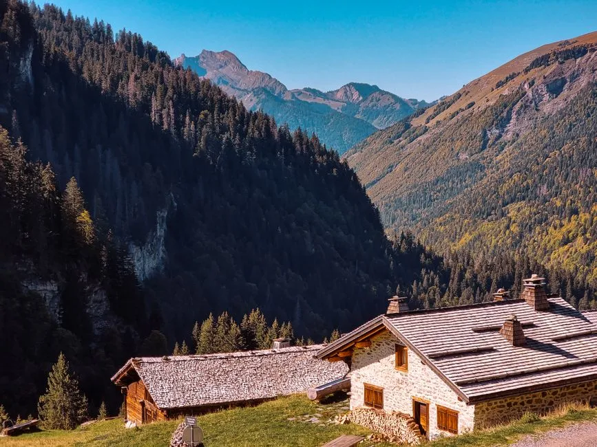 French Alpine Chalet Style: Build the Look in Layers